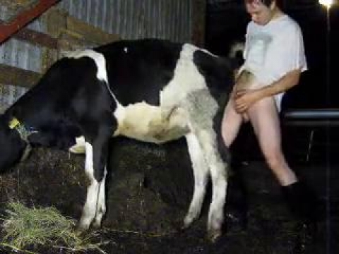 Фермеру захотелось секса с пятнистой коровой